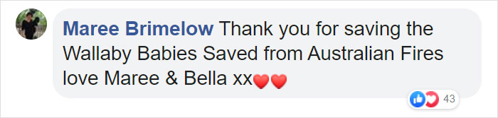 These Adorable Wallaby Babies That Were Rescued From The Australian Bushfires Got Named After Celebs Who Donated To Fire Funds These Adorable Wallaby Babies That Were Rescued From The Australian Bushfires Got Named After Celebs Who Donated To Fire Funds