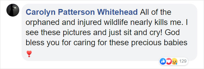 These Adorable Wallaby Babies That Were Rescued From The Australian Bushfires Got Named After Celebs Who Donated To Fire Funds