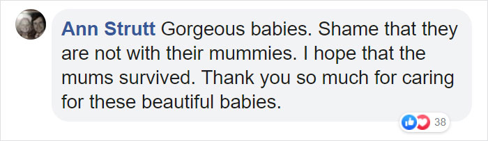 These Adorable Wallaby Babies That Were Rescued From The Australian Bushfires Got Named After Celebs Who Donated To Fire Funds