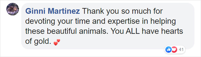 These Adorable Wallaby Babies That Were Rescued From The Australian Bushfires Got Named After Celebs Who Donated To Fire Funds