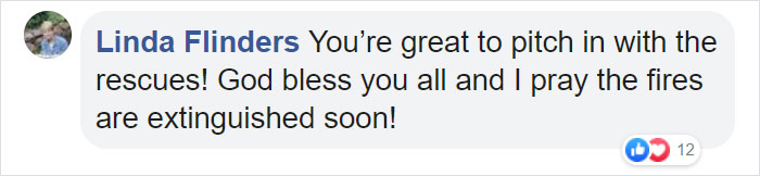 These Adorable Wallaby Babies That Were Rescued From The Australian Bushfires Got Named After Celebs Who Donated To Fire Funds These Adorable Wallaby Babies That Were Rescued From The Australian Bushfires Got Named After Celebs Who Donated To Fire Funds