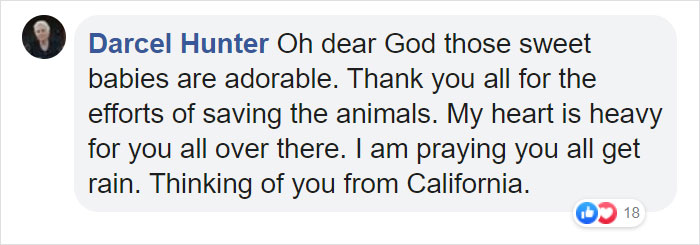 These Adorable Wallaby Babies That Were Rescued From The Australian Bushfires Got Named After Celebs Who Donated To Fire Funds These Adorable Wallaby Babies That Were Rescued From The Australian Bushfires Got Named After Celebs Who Donated To Fire Funds