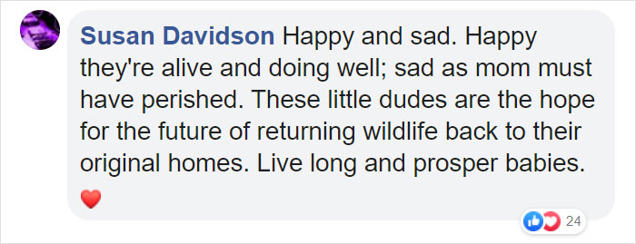 These Adorable Wallaby Babies That Were Rescued From The Australian Bushfires Got Named After Celebs Who Donated To Fire Funds