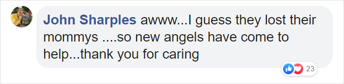 These Adorable Wallaby Babies That Were Rescued From The Australian Bushfires Got Named After Celebs Who Donated To Fire Funds