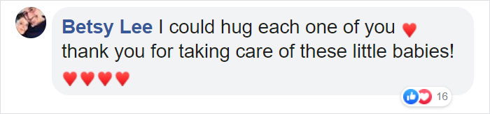 These Adorable Wallaby Babies That Were Rescued From The Australian Bushfires Got Named After Celebs Who Donated To Fire Funds