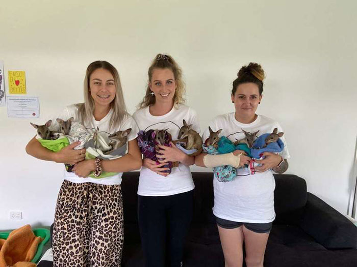 These Adorable Wallaby Babies That Were Rescued From The Australian Bushfires Got Named After Celebs Who Donated To Fire Funds