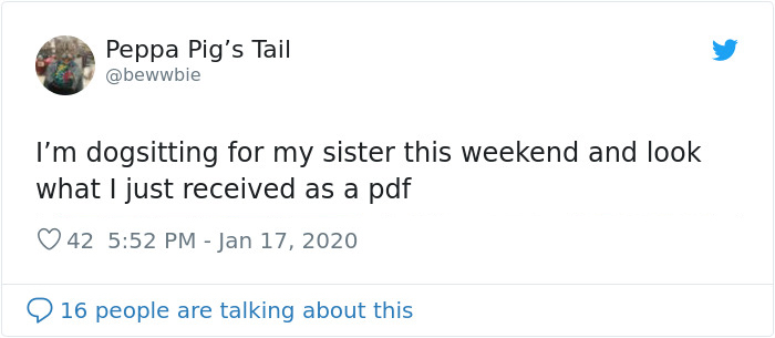 Woman Asks Her Sister To Dog-Sit Her Canine Friend, Sends A 2-Page PDF With Instructions On How To Do It Properly