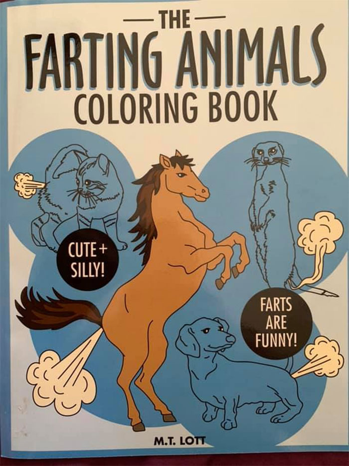 I Saw This Quirky Little Coloring Book... I Couldn’t Leave It