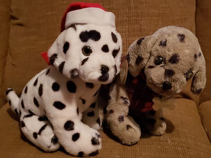 Here Is My Holy Grail Find