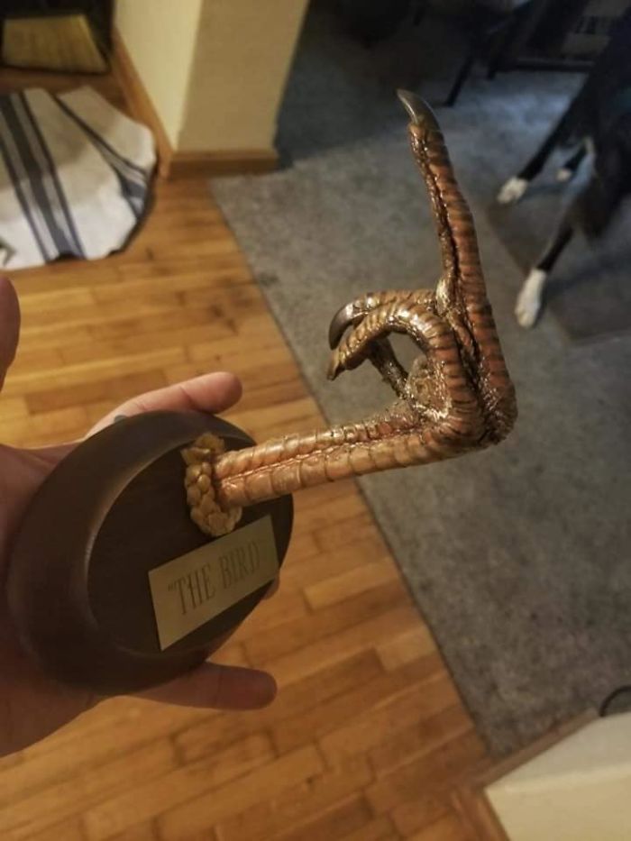 I Collect Bizarre Taxidermy And Own A Barber Shop Where I Showcase It In Arkansas. This Past Weekend I Found This. Might Be My New Favorite Piece! "The Bird"