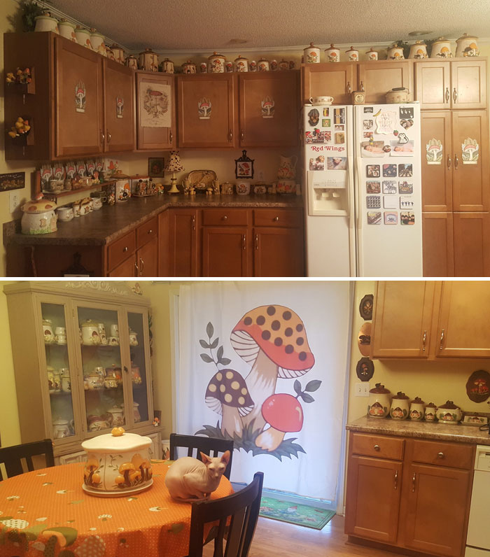 I Wanted To Take A Moment To Share My Retro Mushroom Kitchen Collection. My Husband And I Travel All Over On Antiquity Excursions Hunting For Vintage Sears And Arnel's Mushroom Pieces