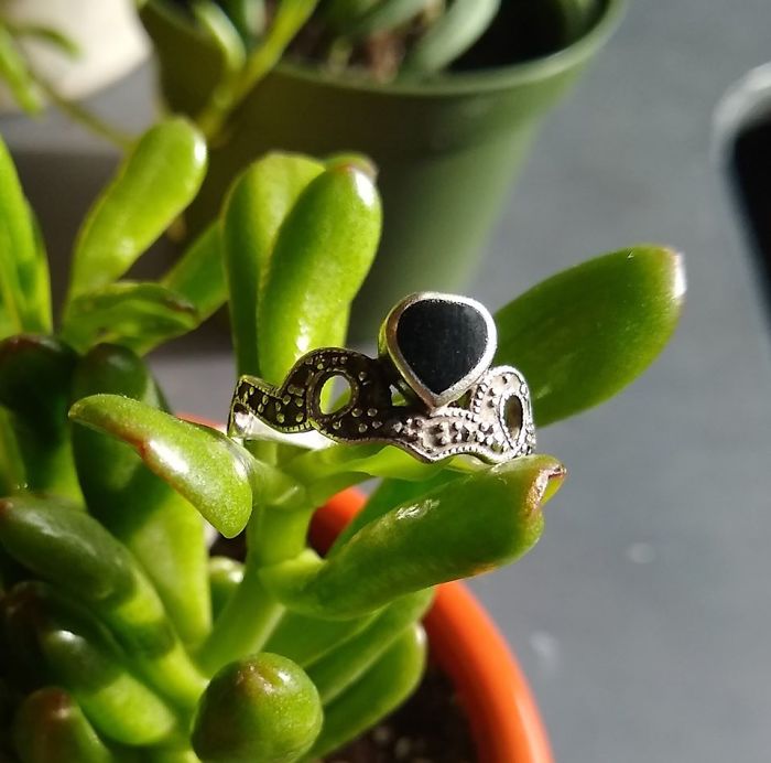 This Is My Most Treasured Secondhand Item (The Ring)