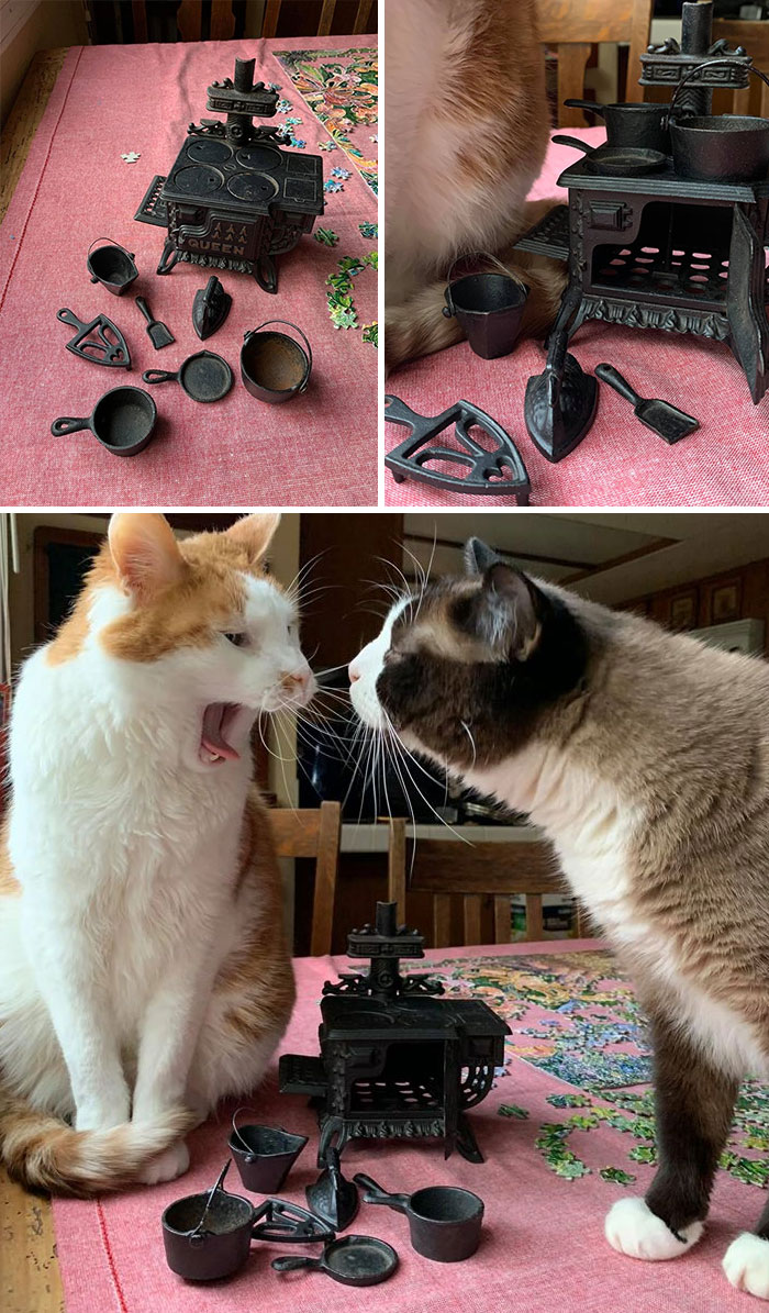 Went To Thrift For Dresses, Came Home With A Mini Cast Iron Stove