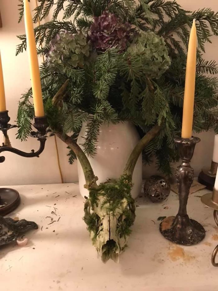 I Found This Beauty In The Woods And Despite The Protests Of The Children He Came Home With Me. No Regrets