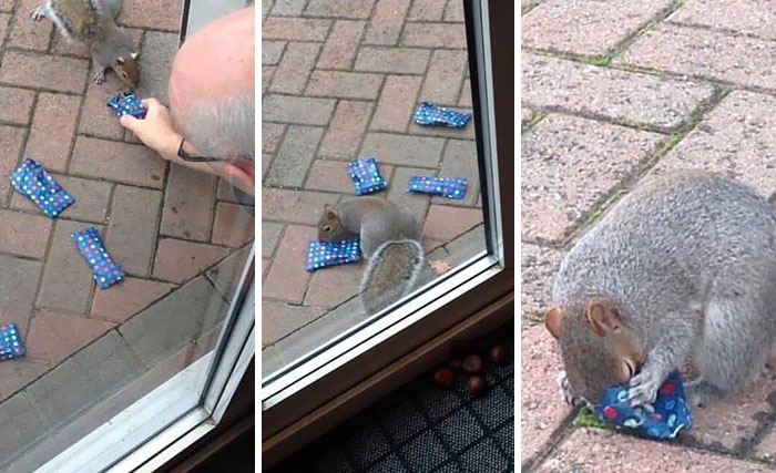 This Dad Gave The Neighborhood Squirrels Wrapped Presents For Christmas