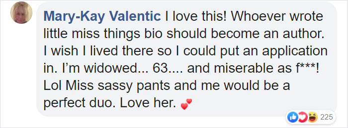 Animal Shelter Puts Up 'The World's Worst Cat' For Adoption And People Are Loving The Description Animal Shelter Puts Up 'The World's Worst Cat' For Adoption And People Are Loving The Description