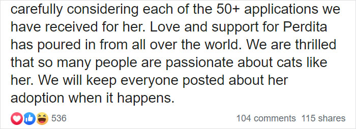 Animal Shelter Puts Up 'The World's Worst Cat' For Adoption And People Are Loving The Description Animal Shelter Puts Up 'The World's Worst Cat' For Adoption And People Are Loving The Description