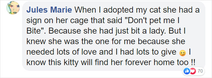 Animal Shelter Puts Up 'The World's Worst Cat' For Adoption And People Are Loving The Description Animal Shelter Puts Up 'The World's Worst Cat' For Adoption And People Are Loving The Description