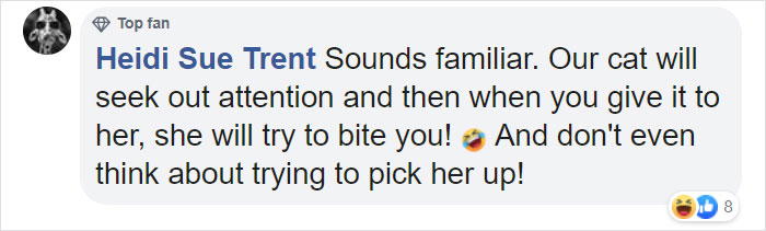 Animal Shelter Puts Up 'The World's Worst Cat' For Adoption And People Are Loving The Description