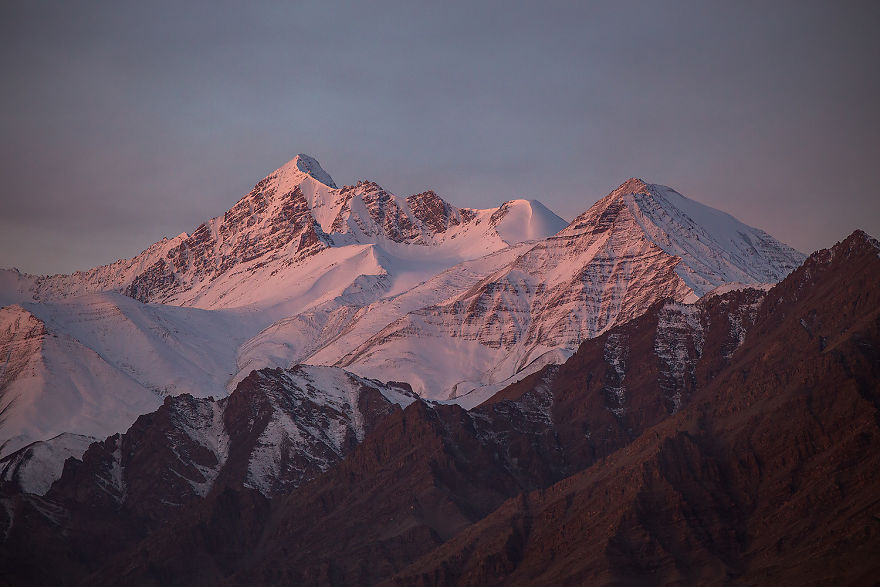 Why Cashmere Is So Expensive Why Cashmere Is So Expensive