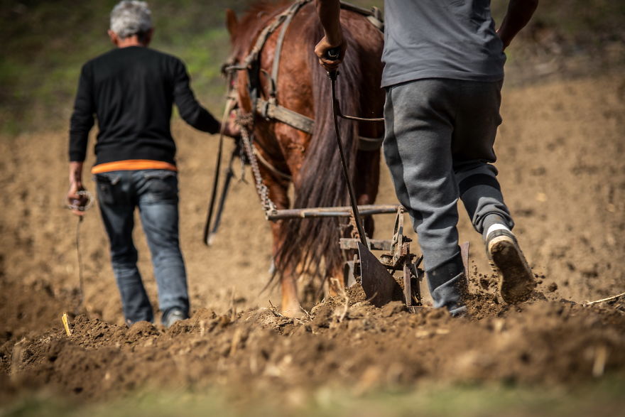I Documented The Life Of The Elders From Transylvania.