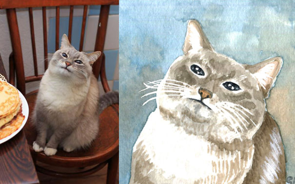 I Made Some Meme Cats Watercolors Because I Love Them