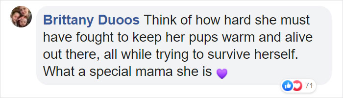 Litter of 6 Survives In The Cold Due To The Caring Love Of Their Mother, Gets Saved By The Locals Litter of 6 Survives In The Cold Due To The Caring Love Of Their Mother, Gets Saved By The Locals