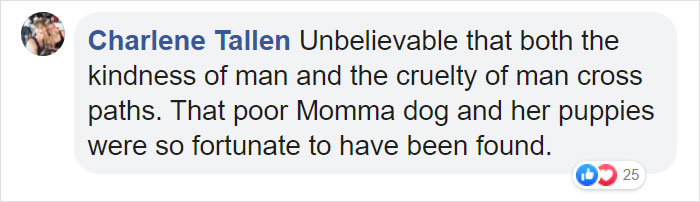 Litter of 6 Survives In The Cold Due To The Caring Love Of Their Mother, Gets Saved By The Locals Litter of 6 Survives In The Cold Due To The Caring Love Of Their Mother, Gets Saved By The Locals