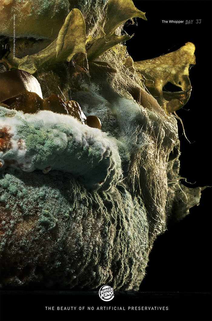 Burger King Releases An Ad Showing How Its New Whopper Will Look In 34 Days Burger King Releases An Ad Showing How Its New Whopper Will Look In 34 Days