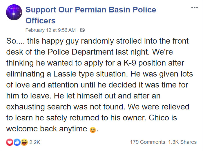 Dog Strolls Into Texan Police Station To ‘Report Himself Missing’ Dog Strolls Into Texan Police Station To ‘Report Himself Missing’