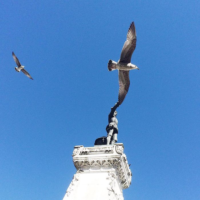 Here Are My 30 Best Optical Illusions That Were Made Without Any Editing Software