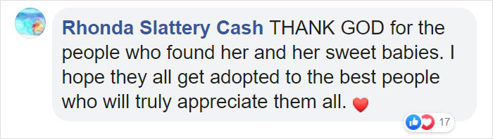 Litter of 6 Survives In The Cold Due To The Caring Love Of Their Mother, Gets Saved By The Locals