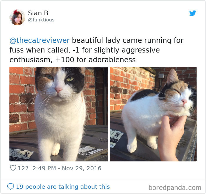 People-Review-Cats-Thecatreviewer