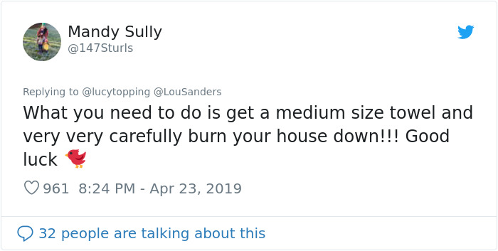 Woman Realizes Two Pigeons Have Been Sitting With Her In The Room For 2 Hours, Shares Everything In Hilarious Tweets