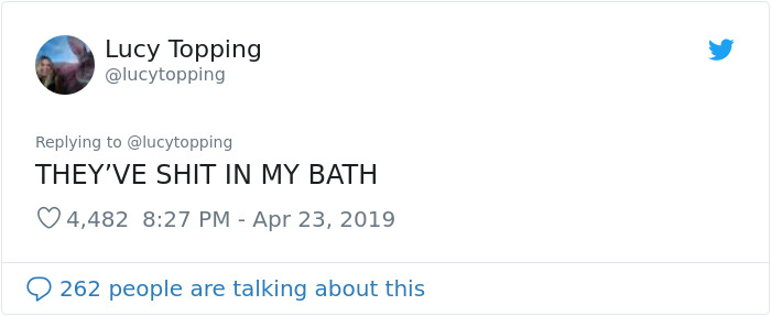 Woman Realizes Two Pigeons Have Been Sitting With Her In The Room For 2 Hours, Shares Everything In Hilarious Tweets