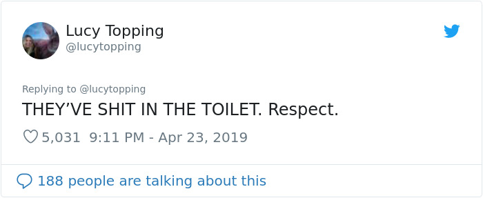 Woman Realizes Two Pigeons Have Been Sitting With Her In The Room For 2 Hours, Shares Everything In Hilarious Tweets