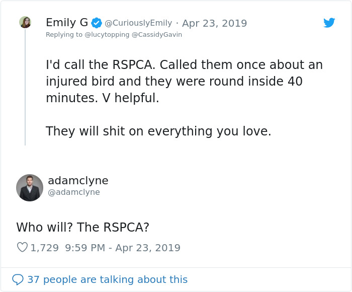 Woman Realizes Two Pigeons Have Been Sitting With Her In The Room For 2 Hours, Shares Everything In Hilarious Tweets