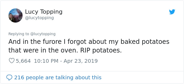 Woman Realizes Two Pigeons Have Been Sitting With Her In The Room For 2 Hours, Shares Everything In Hilarious Tweets