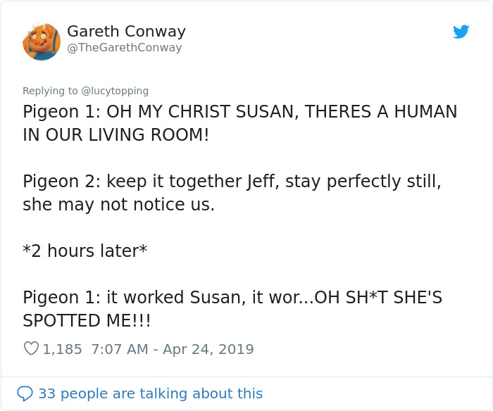 Woman Realizes Two Pigeons Have Been Sitting With Her In The Room For 2 Hours, Shares Everything In Hilarious Tweets