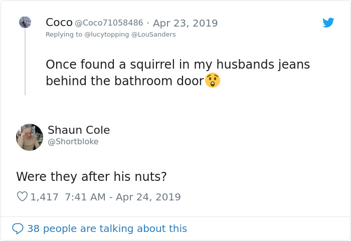 Woman Realizes Two Pigeons Have Been Sitting With Her In The Room For 2 Hours, Shares Everything In Hilarious Tweets