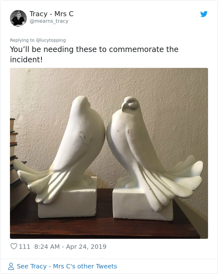 Woman Realizes Two Pigeons Have Been Sitting With Her In The Room For 2 Hours, Shares Everything In Hilarious Tweets