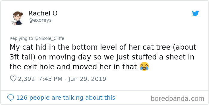 Mean-Cats-Owners-Stories