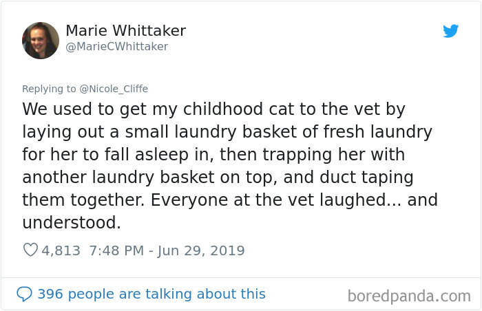 Mean-Cats-Owners-Stories