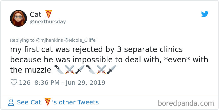 Mean-Cats-Owners-Stories