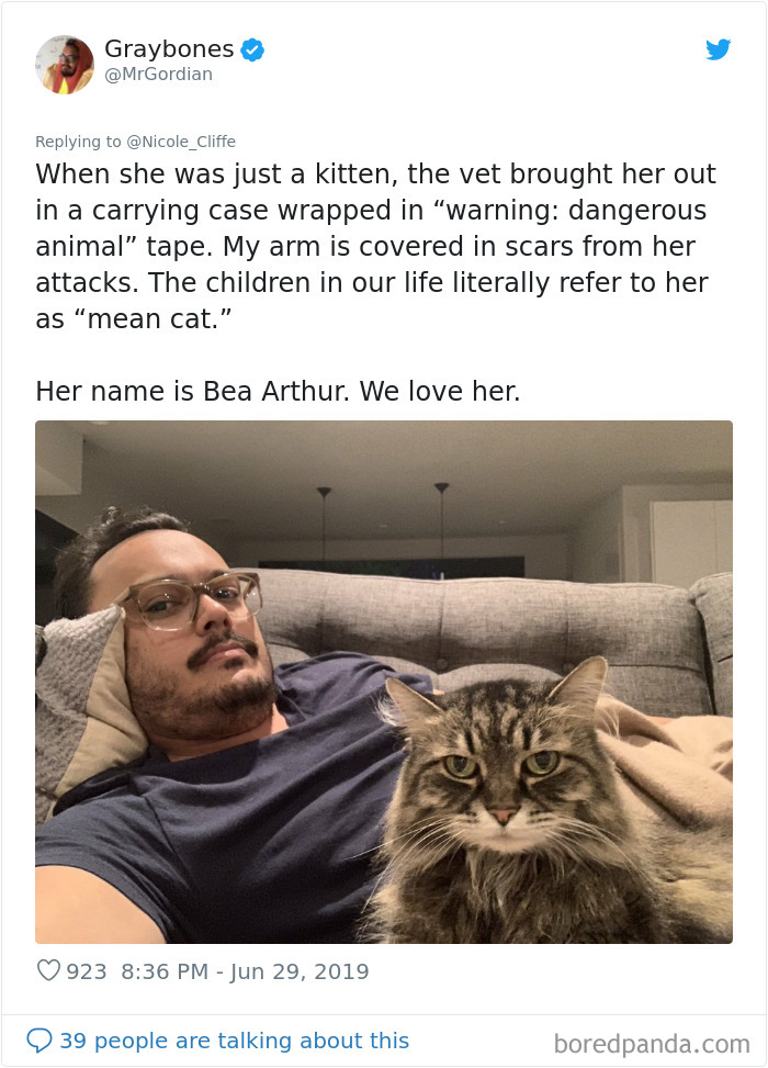 Mean-Cats-Owners-Stories