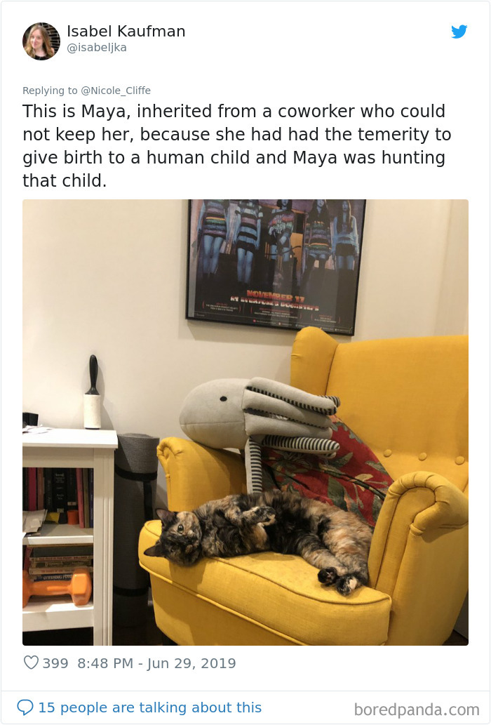 Mean-Cats-Owners-Stories