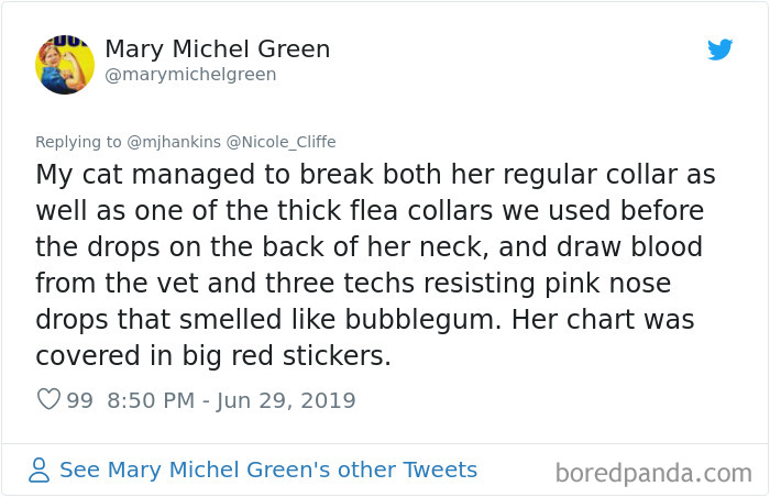 Mean-Cats-Owners-Stories