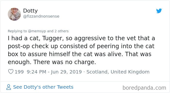 Mean-Cats-Owners-Stories