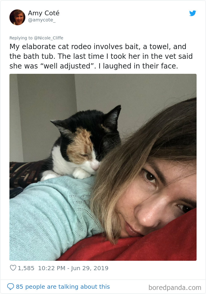 Mean-Cats-Owners-Stories