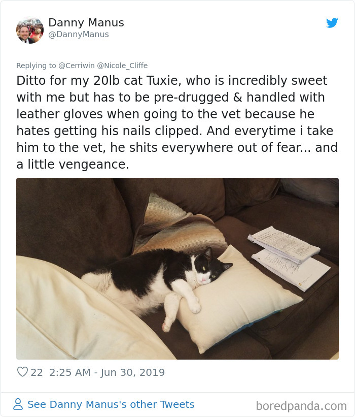 Mean-Cats-Owners-Stories